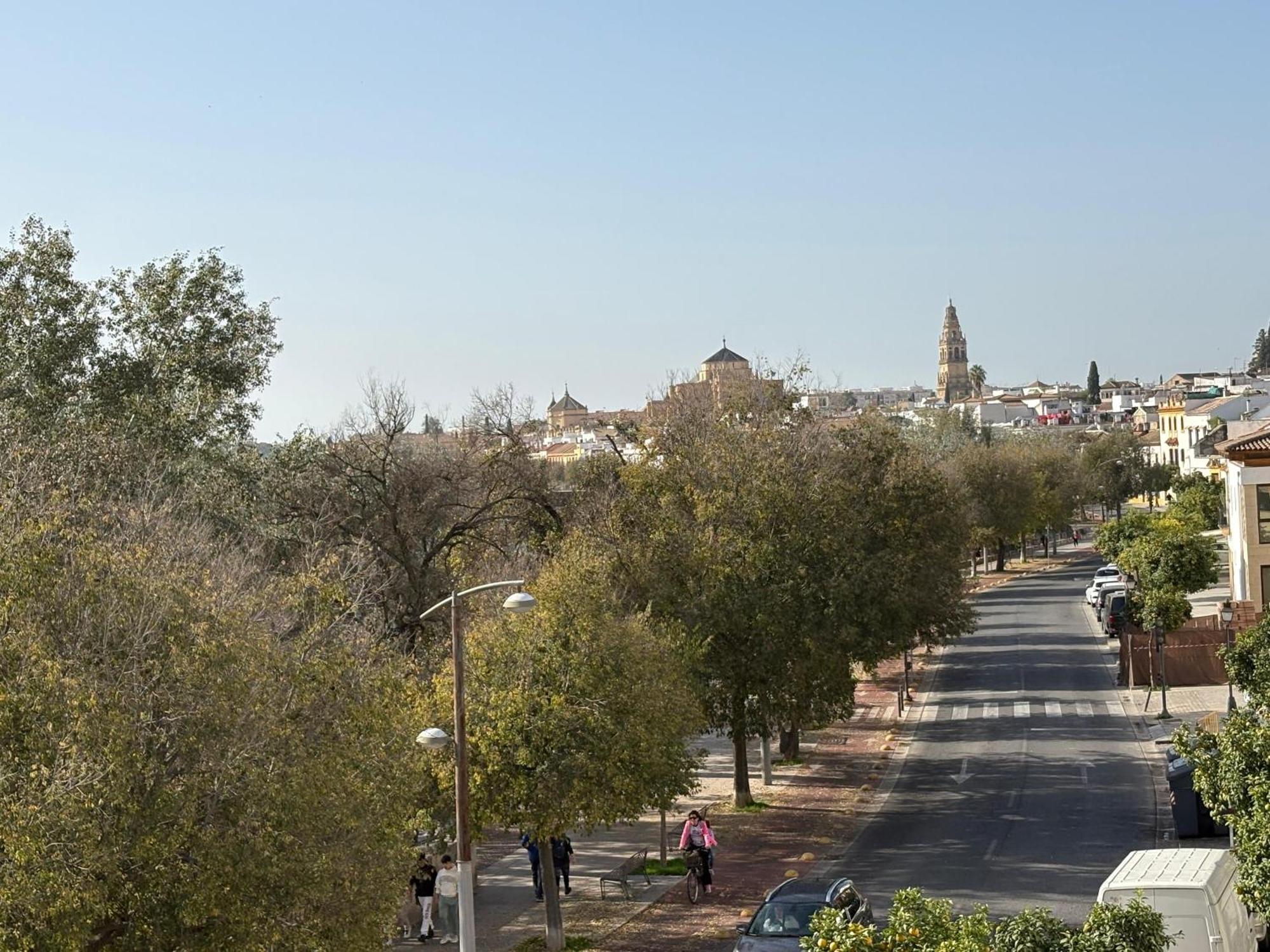 La Terraza De La Ribera